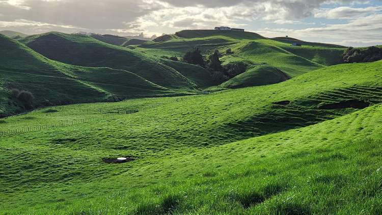 794 Tariki Road Ratapiko_20