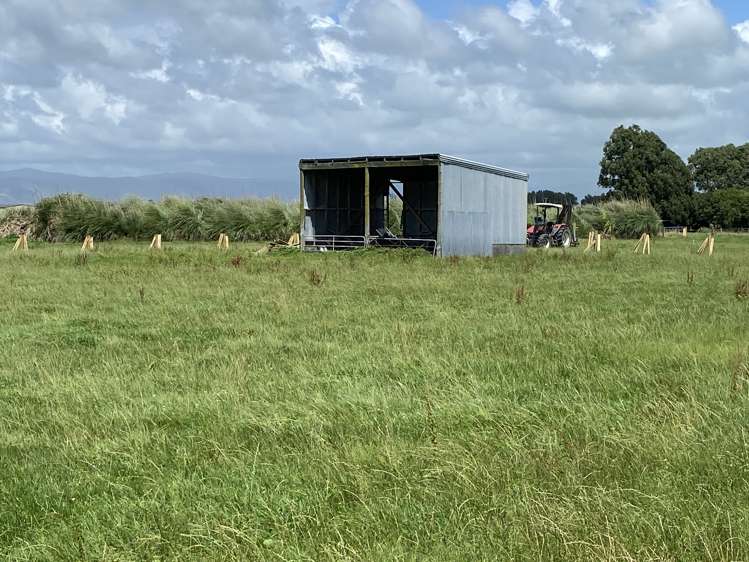 105 Aranui Road Kairanga_29