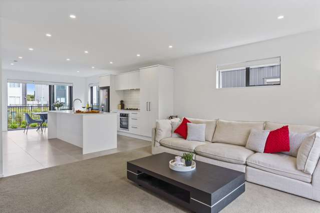 23 Whimbrel Road Flat Bush_2