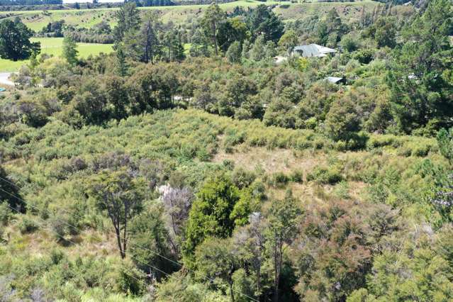 15 Onekaka Iron Works Road Kahurangi National Park_4