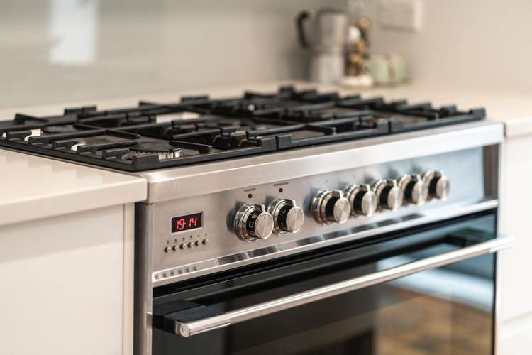 73 Hataitai Road Hataitai_5