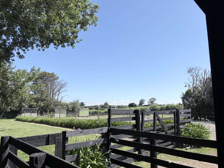 30 Parrs Road Bunnythorpe_30