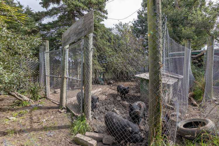 1611 Omihi Road Waipara_17