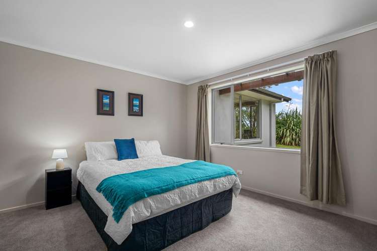 194B Horseshoe Bush Road Dairy Flat_15