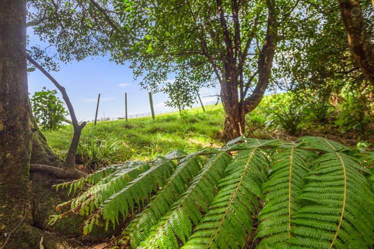 9 Betty May Drive Pyes Pa_31