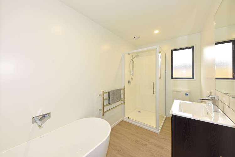 31a Waltham Road Sydenham_11