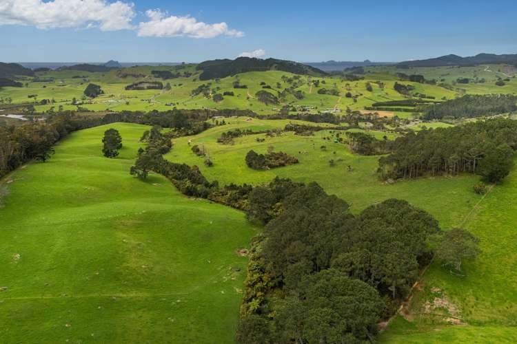 Lot 2/471 Purangi Road_4