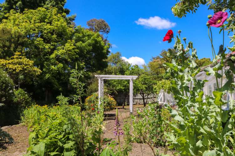 65 Worksop Road Masterton_7