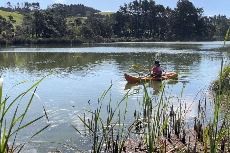 146 Fuller Road South Head_13