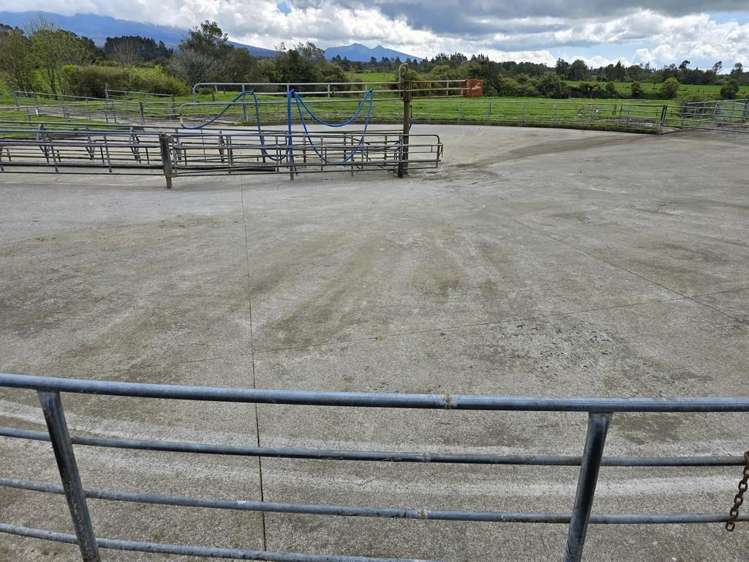 452 Surrey Road Rd 8_11