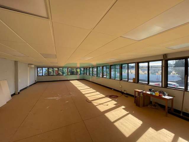 15 Kalmia Street Ellerslie_2