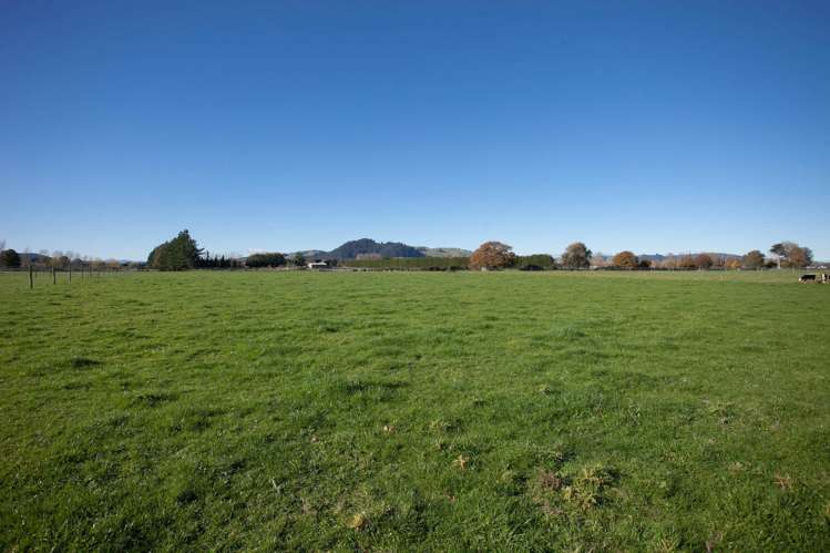 312b Marychurch Road Matangi_6