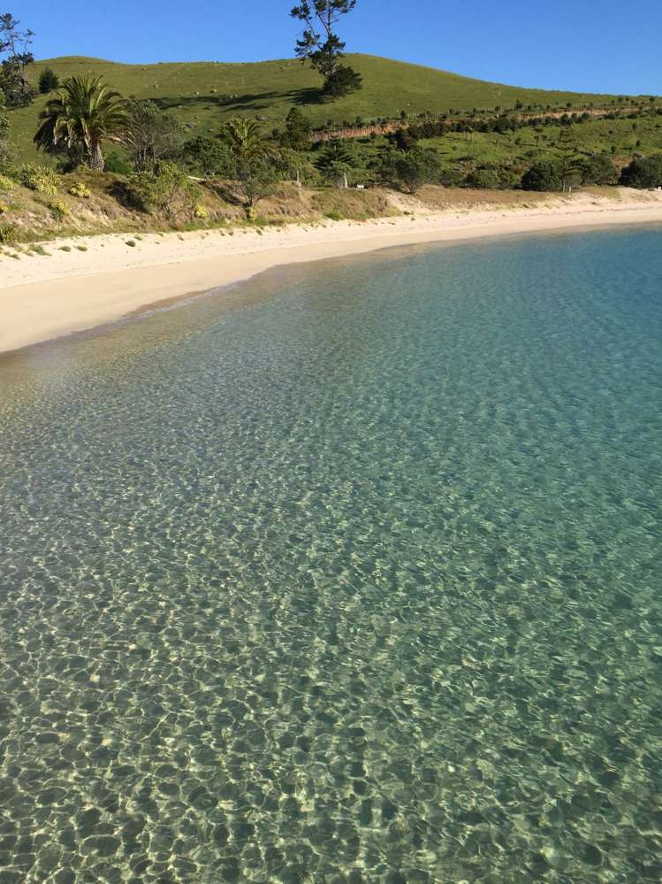 190 Pacific Ocean, Slipper Island (Whakahua) Thames_71