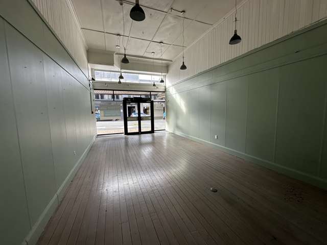 91 Stuart Street Dunedin Central_4