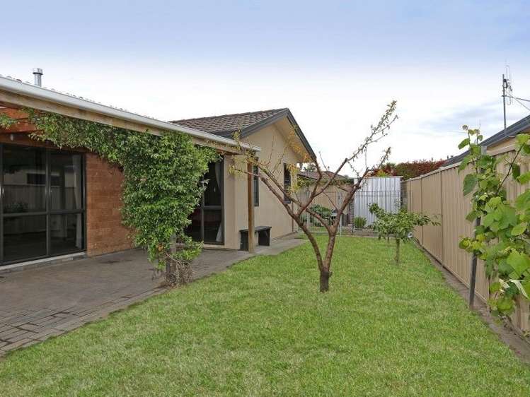 247 Guppy Road Taradale_12