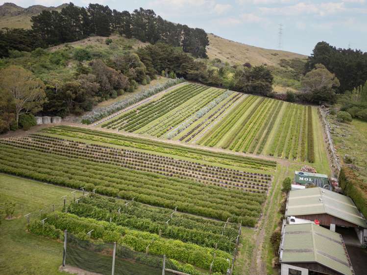 36A Horotane Valley Road Heathcote Valley_6