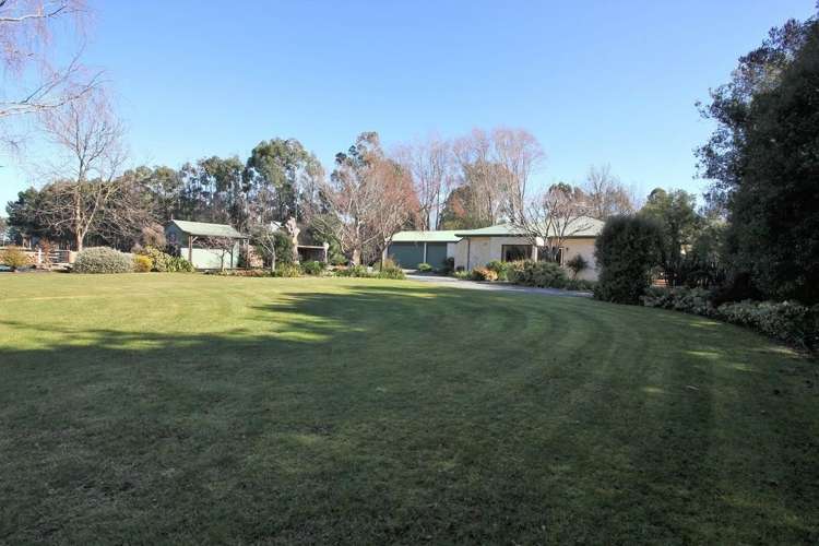 375 Brookside & Irwell Road Leeston_28