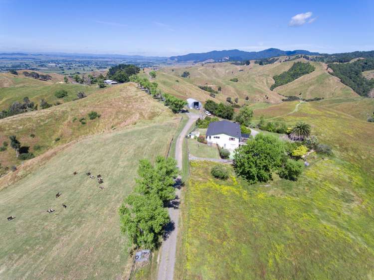 320 Waiti Road Tahuna_7