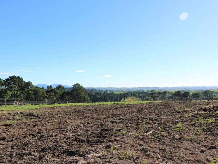 402 Leslie Road Ngatira_5