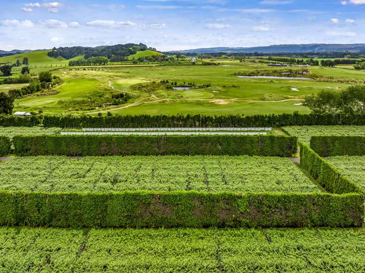 155 Phillip Road Takanini_7