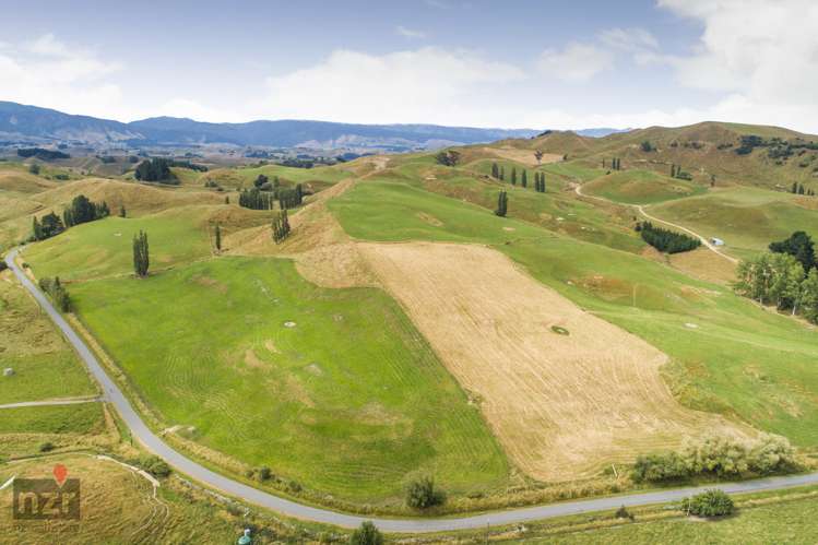 114 Makoura Road Apiti_0