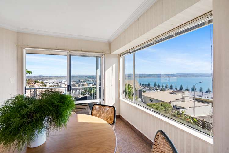 19 Roslyn Road Bluff Hill_6