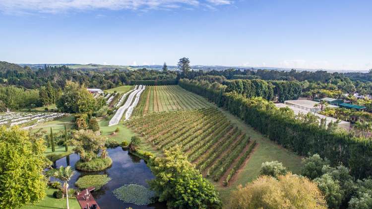 56 Wiroa Road Kerikeri_34