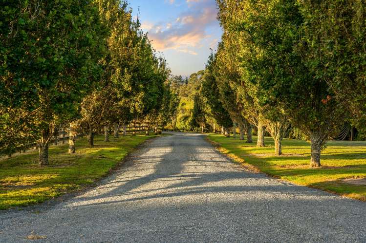 1 Ngaire Close Wainui_4