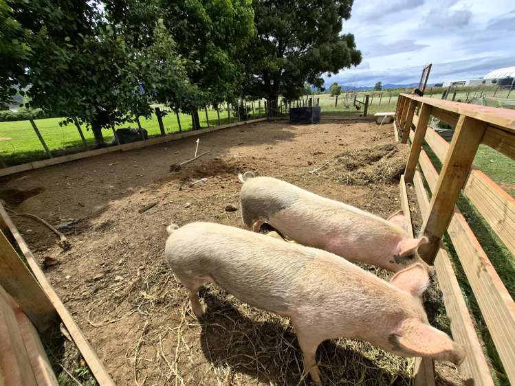 23 Kirikiri West Road Kopu_23