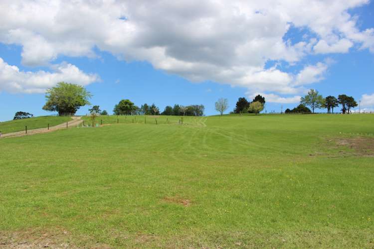 Lot 1, 14 Riversong Road Kauri_4