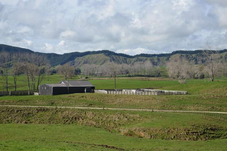 220 Tikitiki Road Te Kuiti_2