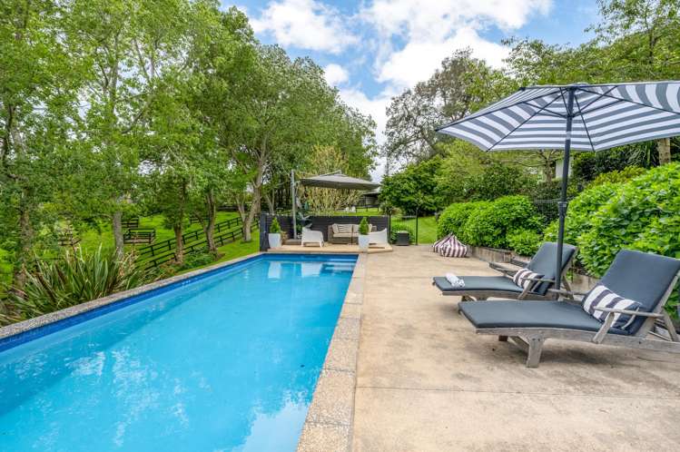 18 Ara-Kotinga Whitford_23