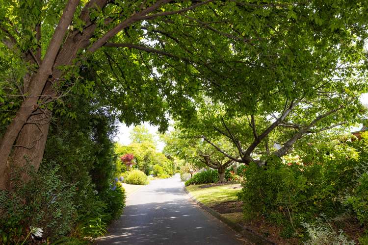 806e Williams Street Mahora_13