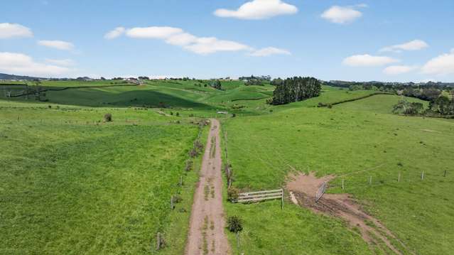 293 Ostrich Road Patumahoe_4