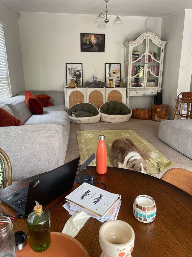 7 Vincent Road Northcote Point_2