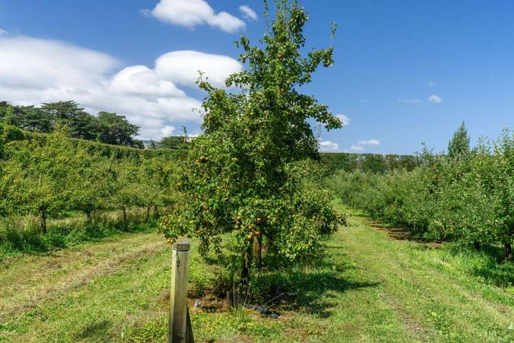 1191-1193 State Highway 1 Te Horo_29