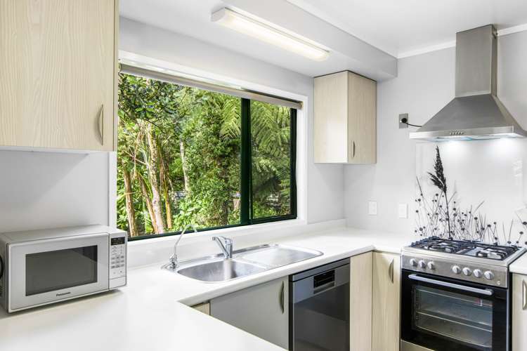 198 Mountain Road Henderson Valley_14