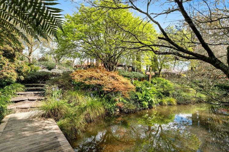 33 Poplar Lane Matangi_22