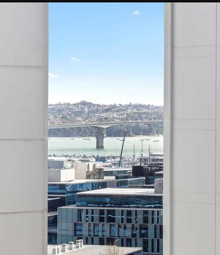 147 Hobson Street 10015_3