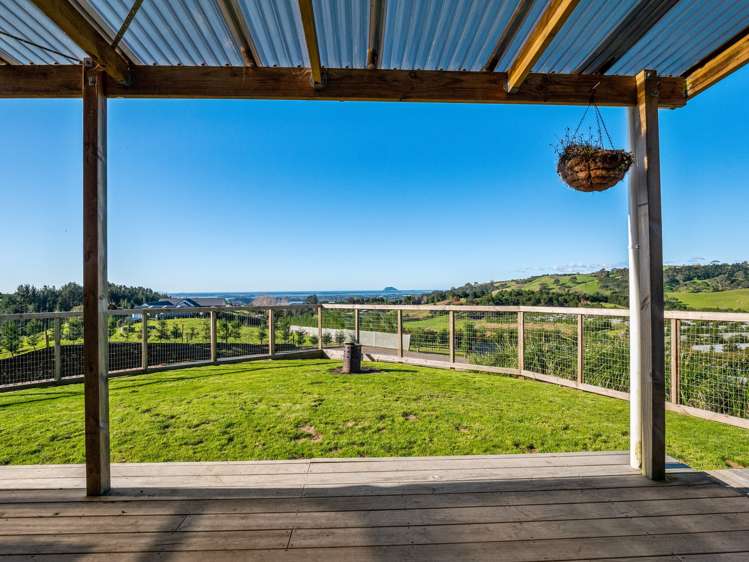 299b Whakamarama Road Whakamarama_12