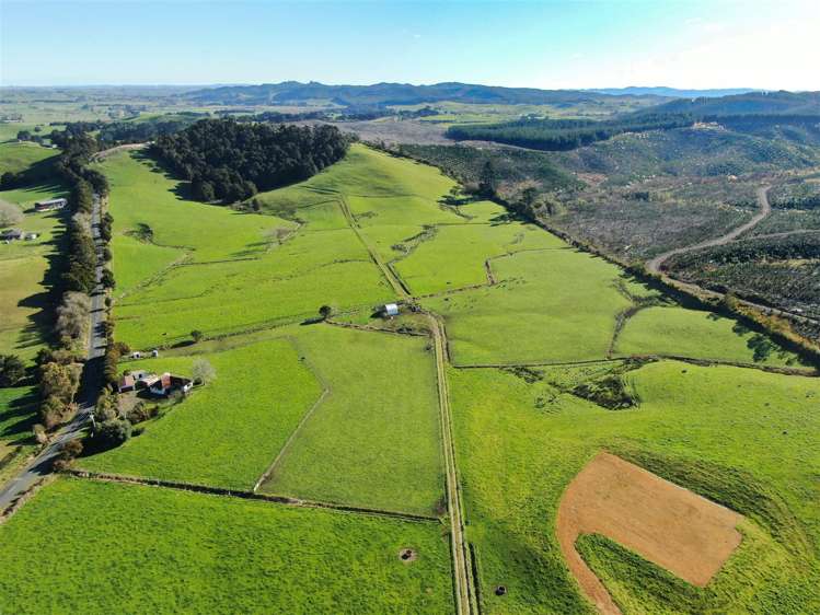 52 Kopuku Road Waerenga_32