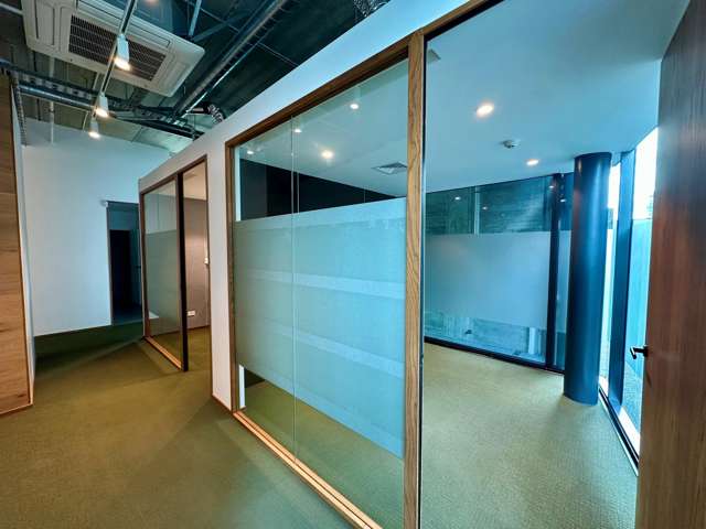 5 Crummer Road Grey Lynn_2