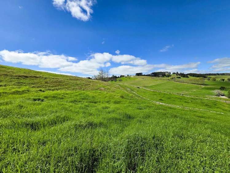 Morrison Road Dargaville_7