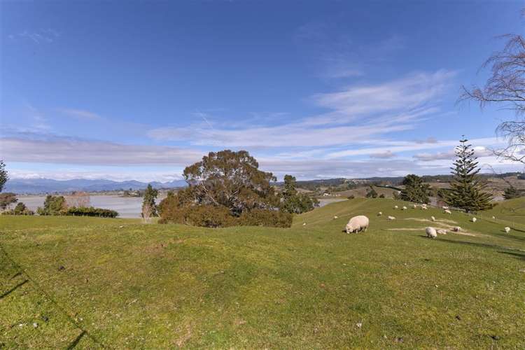 139 Higgs Road Mapua_19