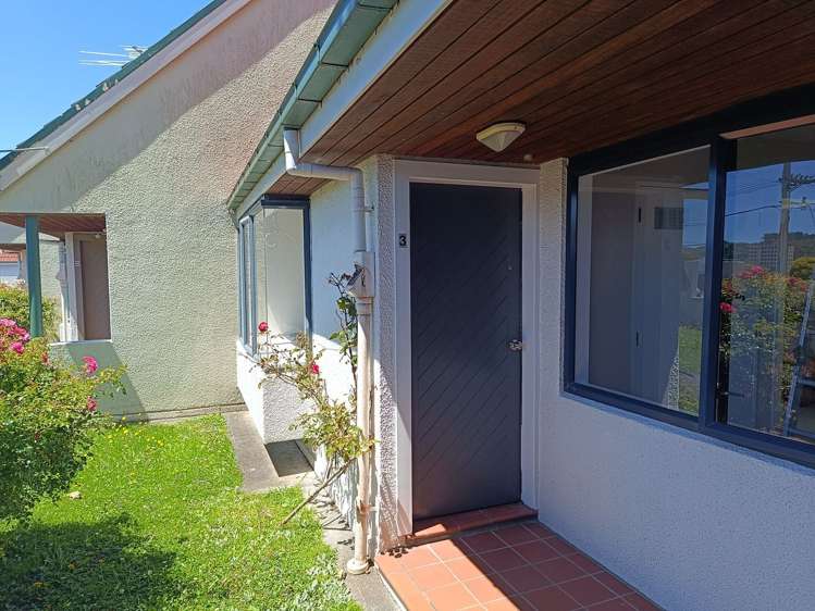 3/988 High Street Avalon_6