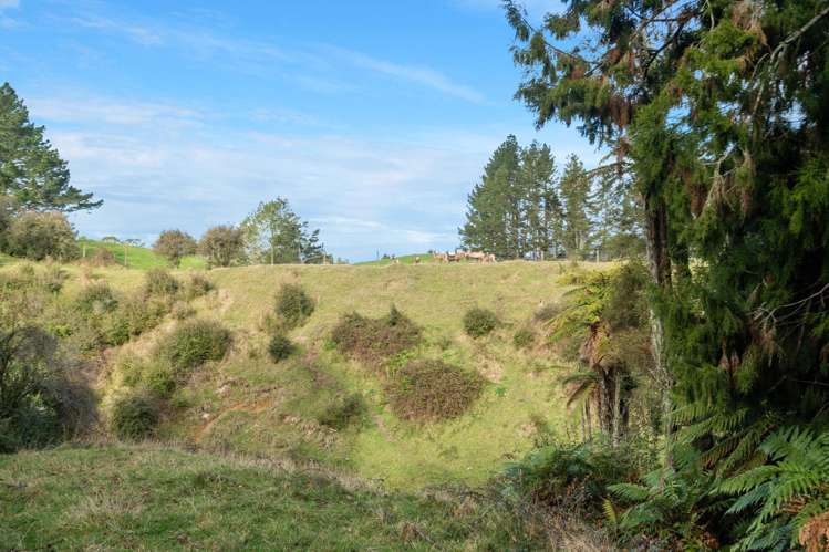 670 Kapukapu Road Kaharoa_41