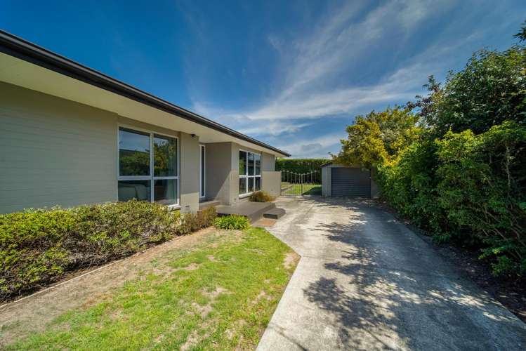 441 Bower Avenue Parklands_11