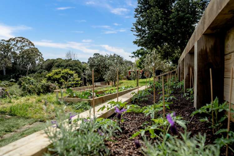 209l Wairoa Pa Road Bethlehem_15