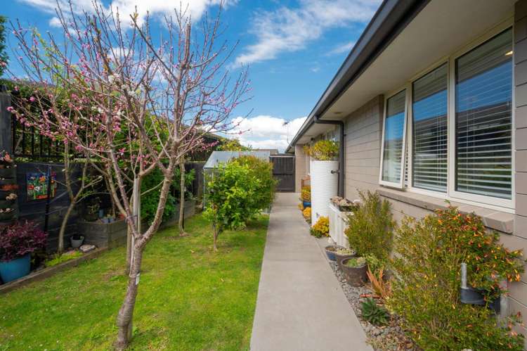 54/4 Greystone Place Omokoroa_13