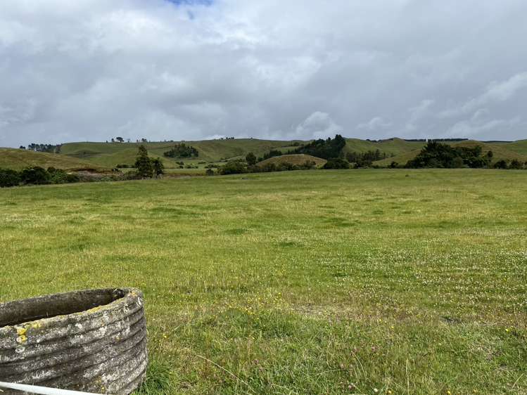 860 Egmont Road Hillsborough_30